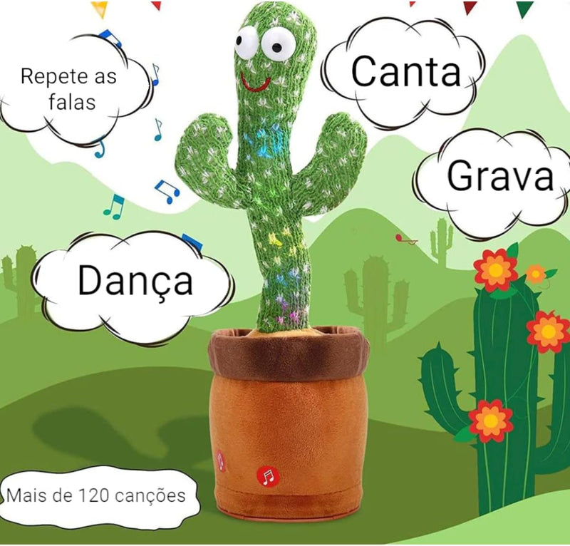 Cactos Dançarino FunCactos